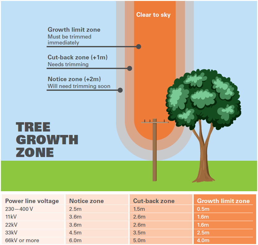 Stability Zone Tree Trees and Vegetation near powerlines | MainPower NZ